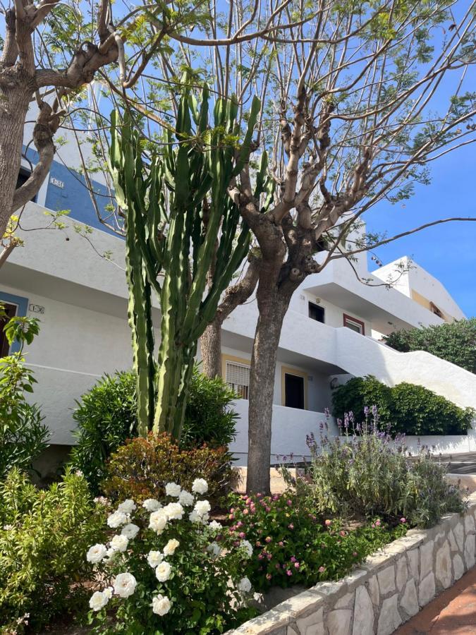 Roymar 14 Playa Διαμέρισμα Μπένιντορμ Εξωτερικό φωτογραφία